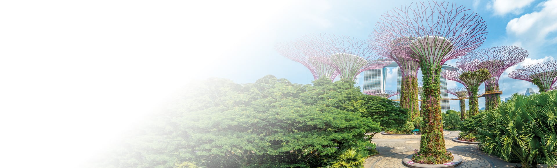 Around the World Cruise 2025 | Oceania Cruises